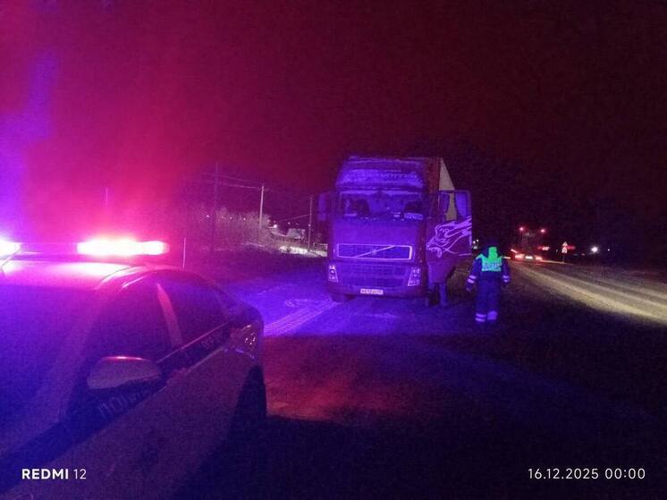 Пензенские сотрудники ДПС пришли на помощь водителю заглохшего грузовика