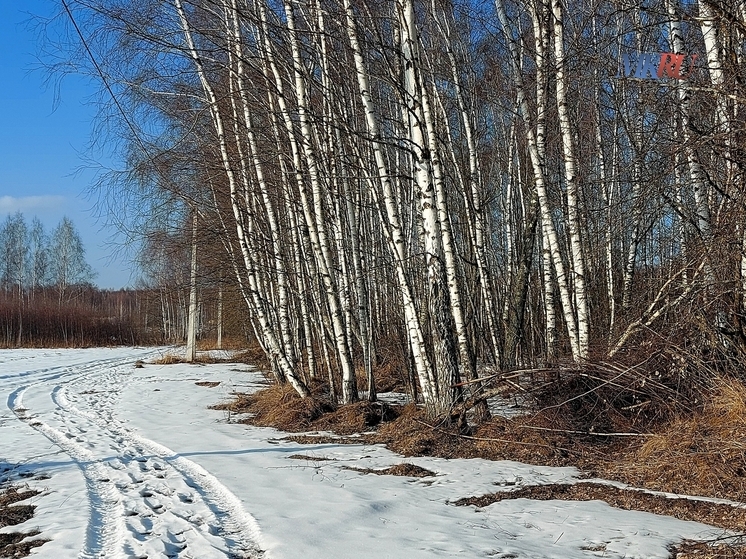 Под Калугой внезапно проснулась лягушка
