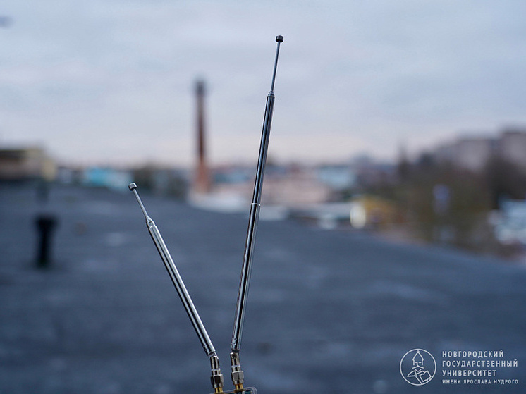 Новгородские ученые создали миниатюрную антенну для подводного мира