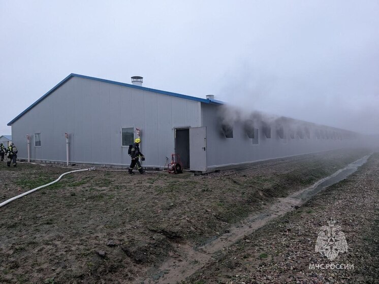 В Калининградской области потушили пожар в здании на территории свинокомплекса