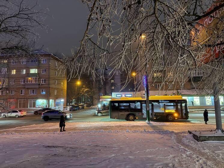 Температура около нуля и небольшой снегопад ожидаются в Пензенской области 21 декабря