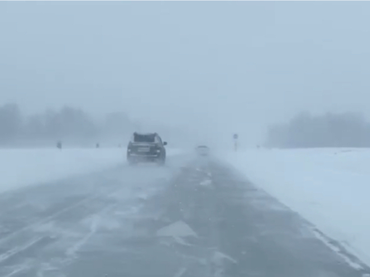 В Новосибирской области временно ограничили движение по трассе Р-254 «Иртыш» из-за метелей