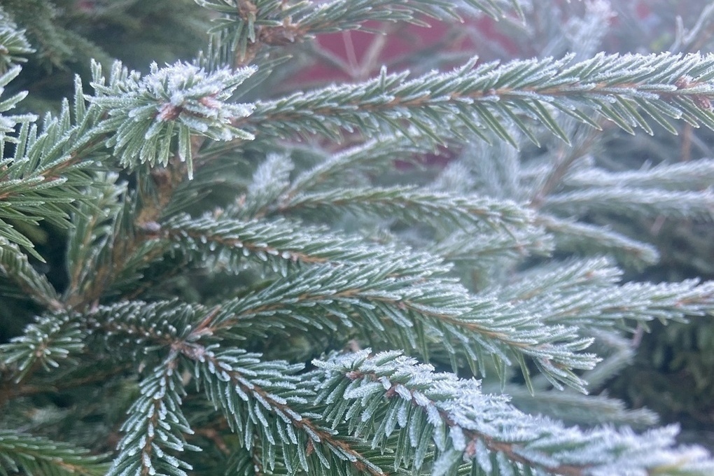 В российском регионе зафиксировали самую низкую температуру на Земле