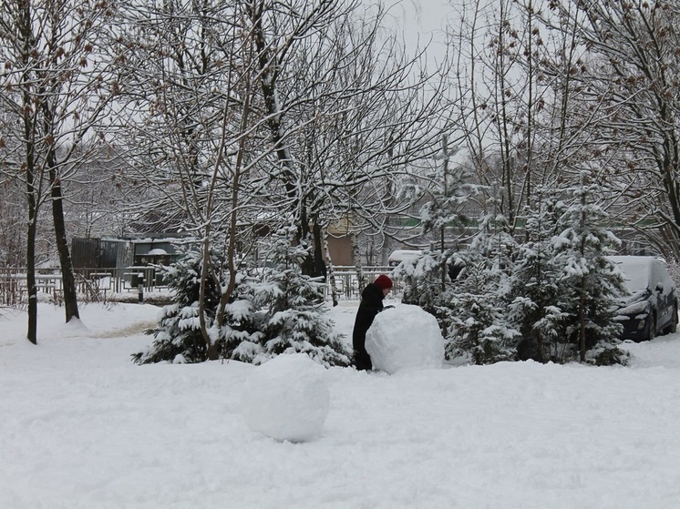 Ивановская область вошла в полосу мокрого снега и дождей