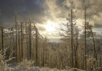 21 декабря 2025 года — это день мощного энергетического перекрестка, когда сплетаются воедино церковный праздник, народные традиции и астрономическое явление. В этом году день памяти святой Анфисы Римской (Анфисы Рукодельницы) совпадает с зимним солнцестоянием (Карачуном) — моментом самой длинной ночи в году. Это время тишины, подведения итогов и закладки основ для будущего света. От того, как вы проведете этот день, по поверьям, может зависеть благополучие всего следующего года.