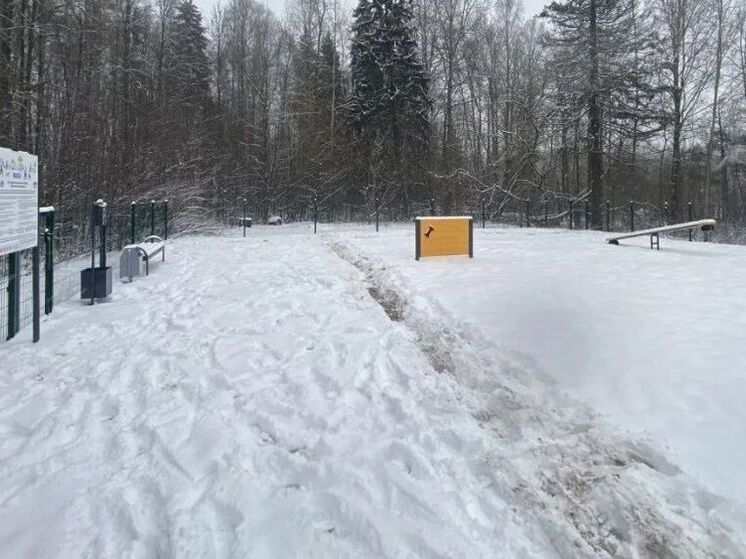 В Кирове открыли ещё одну площадку для выгула и дрессировки собак