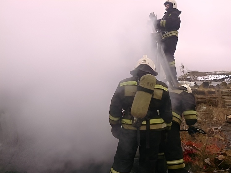 В Нововоронеже днём загорелся гараж на улице Сосновой, пожар ликвидирован