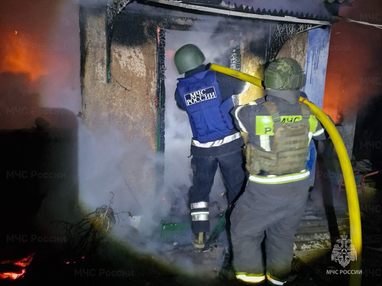 В Херсонской области спасатели предотвратили распространение пожара