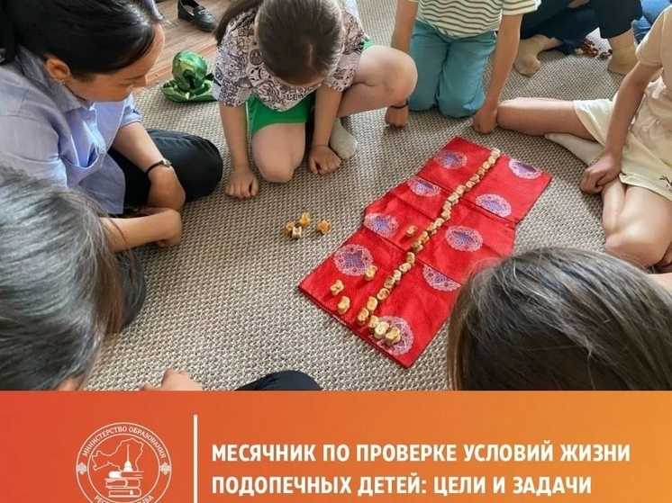 В Туве идет проверка условий жизни детей, находящихся под опекой