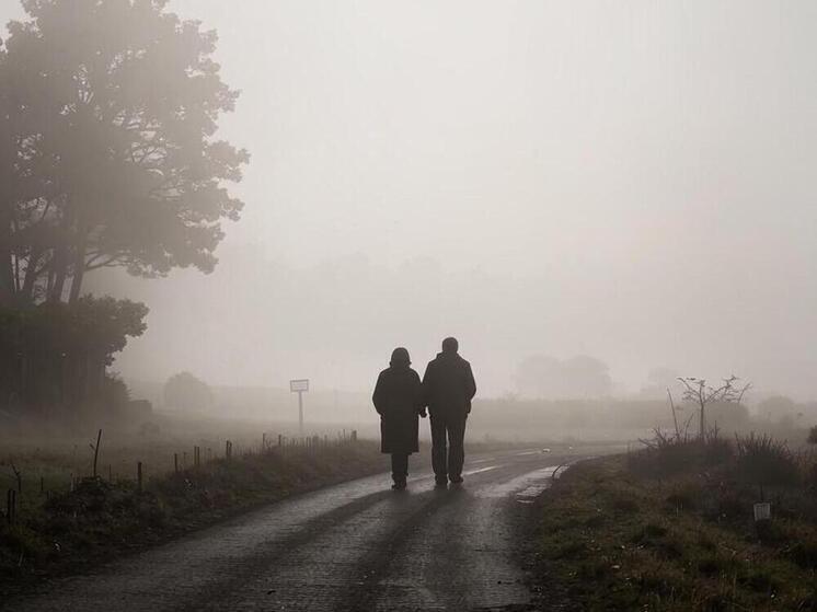 МЧС предупредило о тумане и гололедице в Липецкой области 20 и 21 декабря