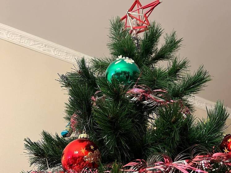 В Калининграде открылся сезон продаж на елочных базарах