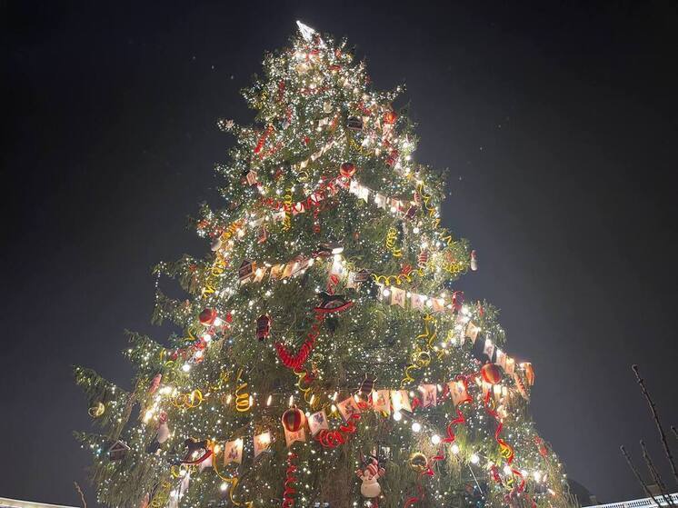 Главную новогоднюю ёлку Петербурга зажгли на Дворцовой площади