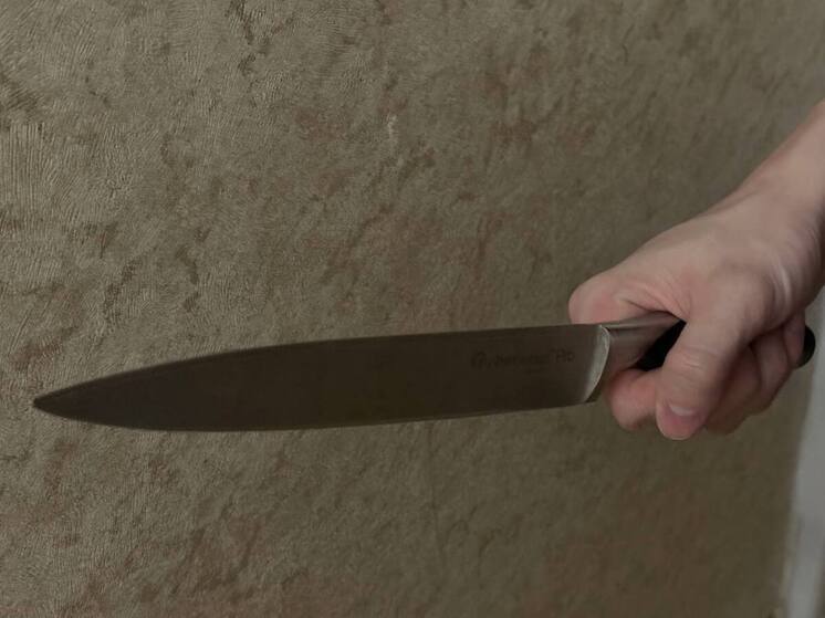 Семейный разлад привёл к попытке двойного убийства подростком в Ленобласти