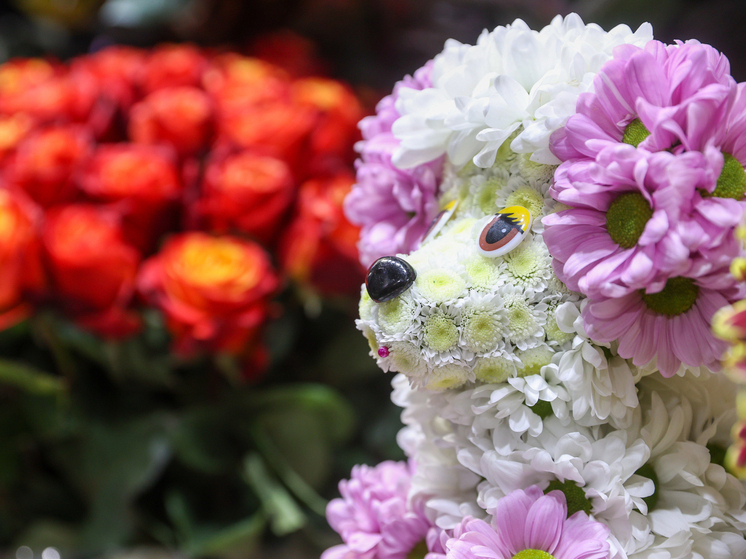 Влюбленность с расчетом: как распознать альфонса и найти силы уйти