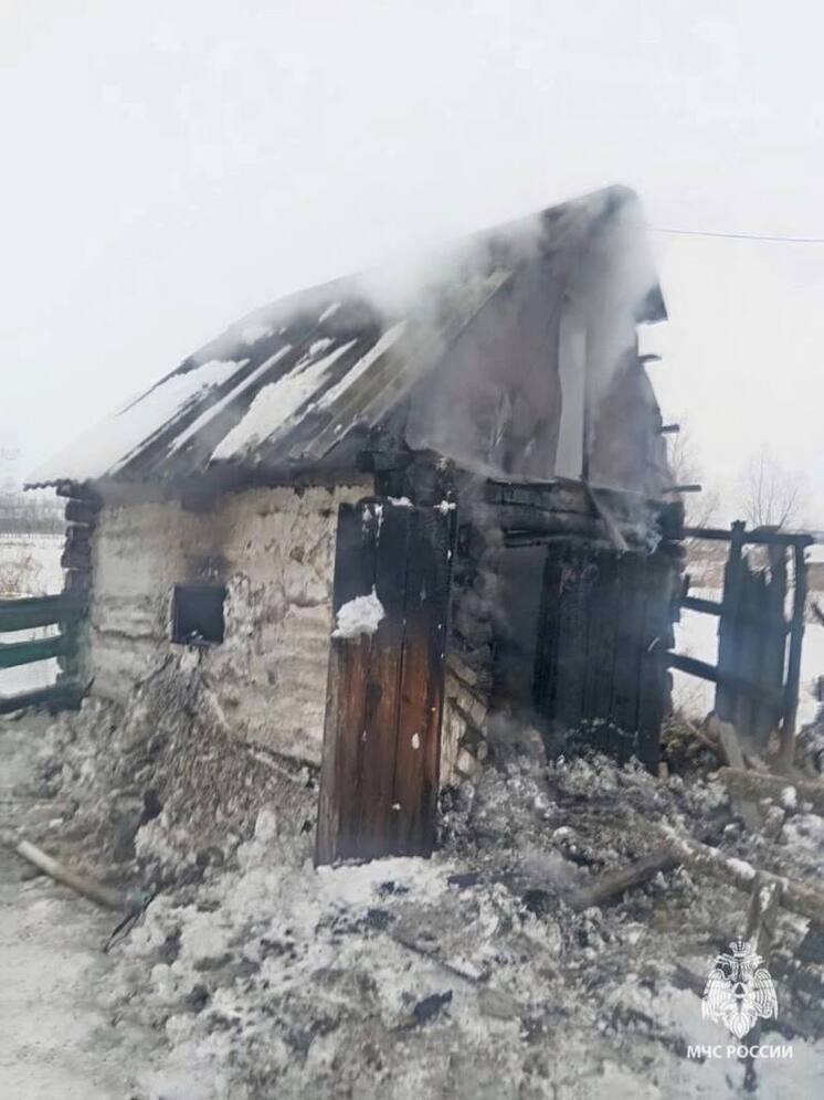 На пожарах в Башкирии погибли два человека