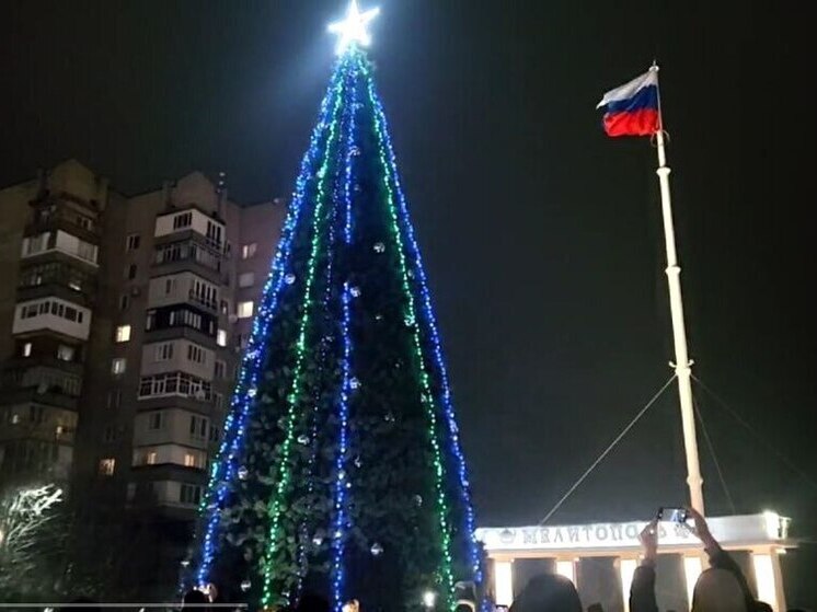 Главная ёлка Мелитополя засияла праздничными огнями