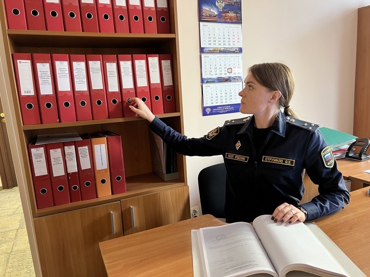 Житель Тосненского района угодил в уголовное дело за неуплату алиментов