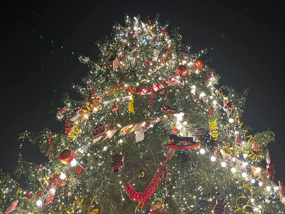 На Дворцовой площади зажгли главную ёлку Петербурга: фото