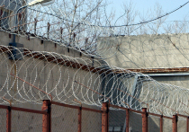 Жалобы заключенных подмосковного СИЗО №10 в Можайском городском округе подтвердились – проверка показала, что условия содержания в ряде камер не соответствует нормам