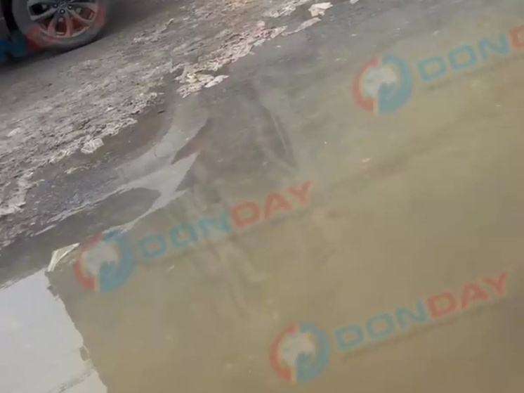 Жители Заводской в Ростове вынуждены ходить по фекалиям из-за коммунальной аварии