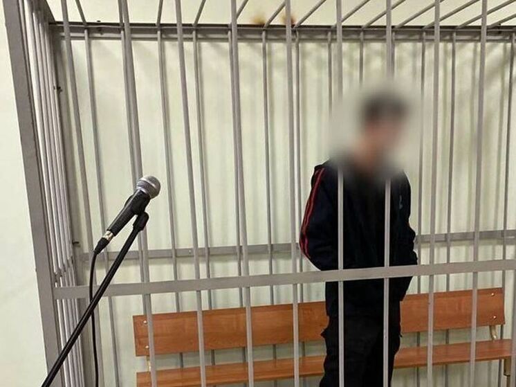 Подростка из Сясьстроя за покушение на бабушку и дедушку заключили под стражу