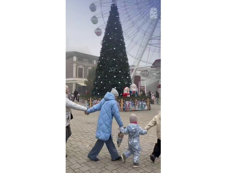 В парках Краснодара открыли новогодние ёлки