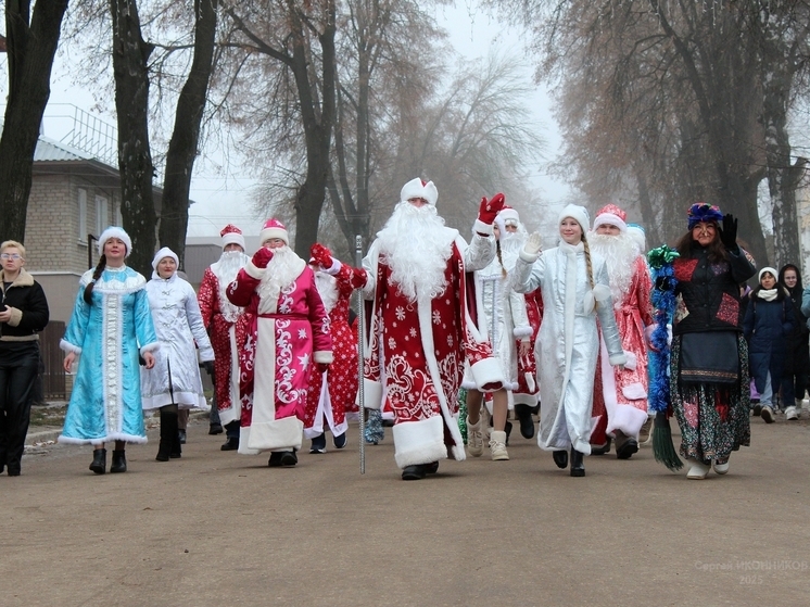 В Ряжске прошел парад Дедов Морозов и Снегурочек