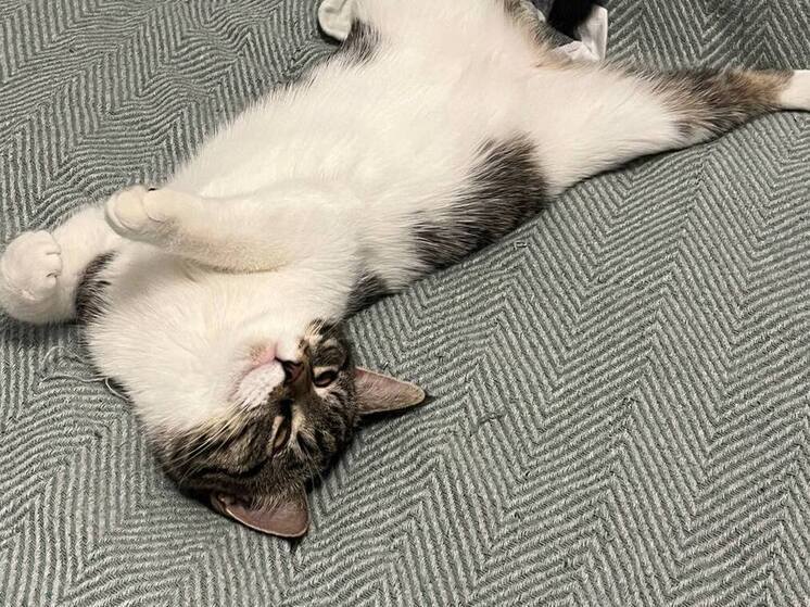 Зимой организму особенно тяжело просыпаться: холод, короткий световой день, замедленный метаболизм. Чтобы утреннее пробуждение было мягким и комфортным, эксперты рекомендуют внедрять простые ритуалы, рассказала «МК в Ленобласти» медицинский директор сети санаториев «Плаза СПА» Ольга Богуш.