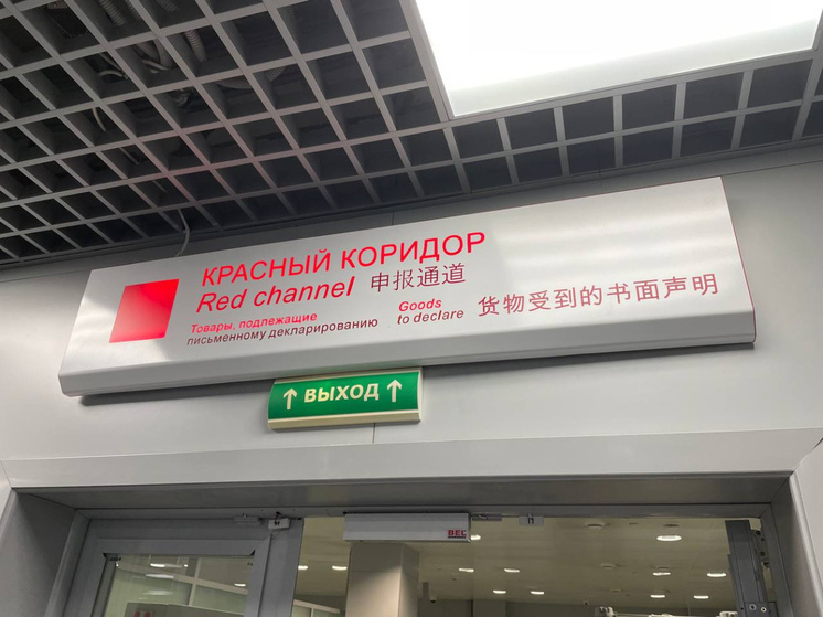 Туляков с долгом в 10 тысяч рублей не выпустят за границу