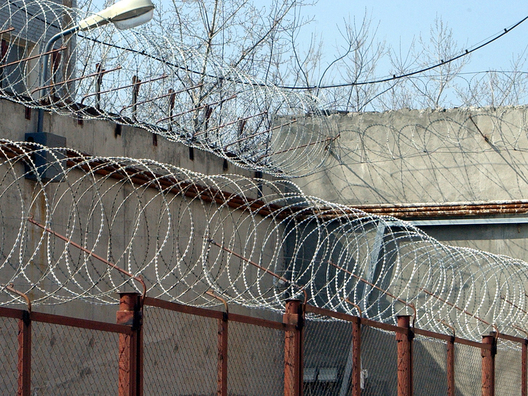 Жалобы заключенных подмосковного СИЗО №10 в Можайском городском округе подтвердились – проверка показала, что условия содержания в ряде камер не соответствует нормам