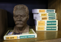 Домашняя библиотека — это не анахронизм, а личный «мысленный сад» и инструмент для фокусной работы