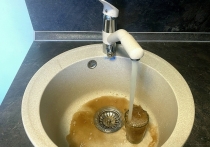 Забота о планете часто ассоциируется с глобальными изменениями и жертвами