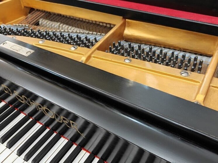 Новгородцам рассказали, что игра на музыкальных инструментах улучшает память