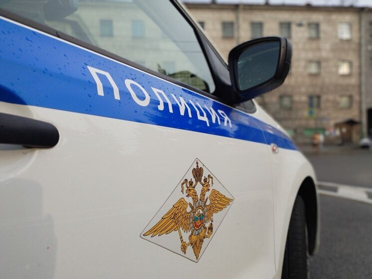 Житель Ленобласти напал на сотрудника полиции на Рузовской улице