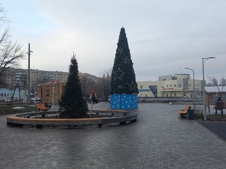 В ярославском Брагино опять отменили новогодние гулянья