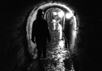 Выяснились новые детали ЧП в подмосковной Сходне, где в результате взрыва погиб подросток