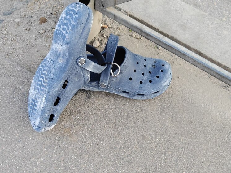 В Мурманской области подвели итоги операции «Иностранец»