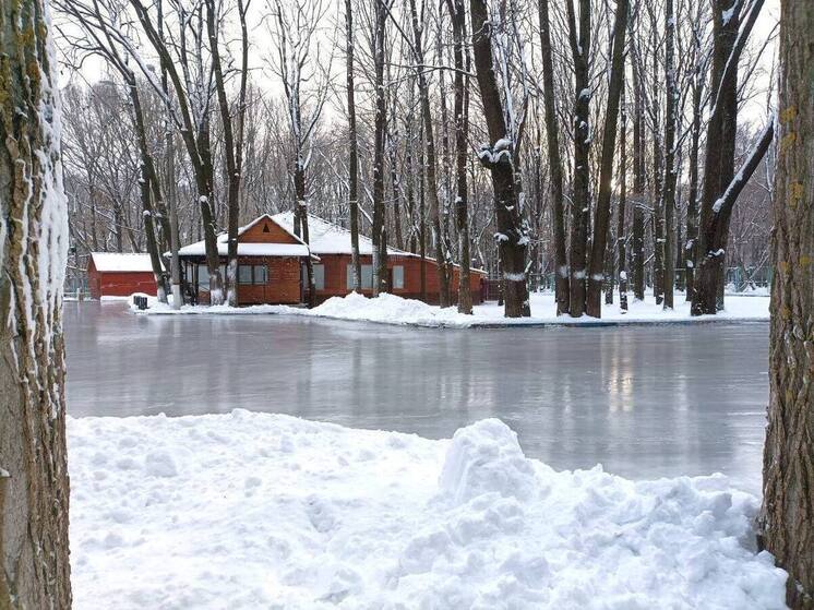 Каток в Автозаводском парке закрыли из-за погоды
