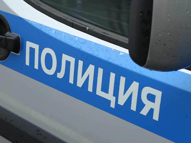 Трупы двух человек обнаружены в квартире в Новой Москве