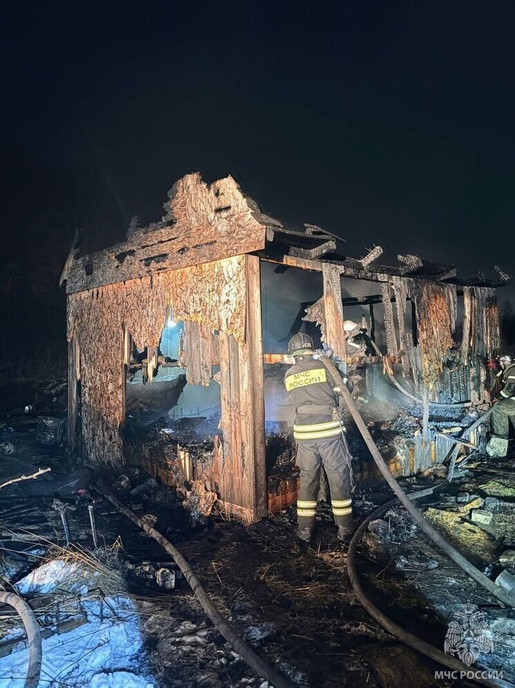 В сгоревшем доме в Богородском округе обнаружили погибшего