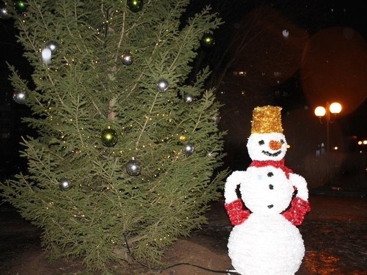 Все снеговики растаяли в Костромской области