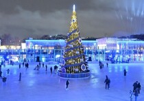 Представьте, что каток — это отдельная маленькая планета со своими законами физики, гравитации и этикета