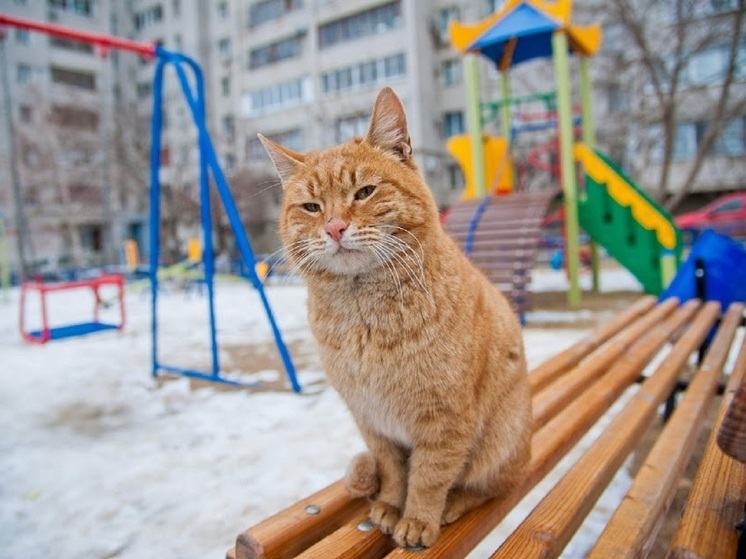  В Астраханской области 21 декабря днем потеплеет до +3 градусов