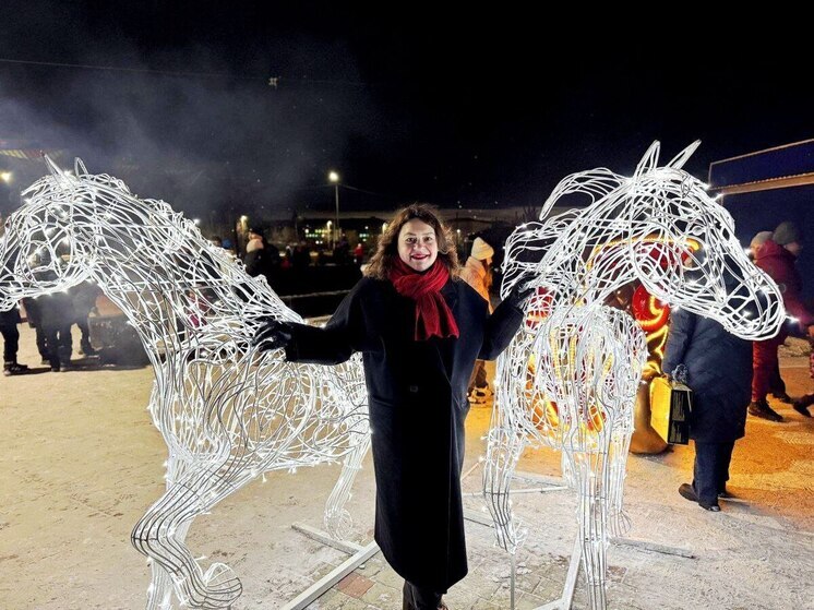 В Черногорске наградили волшебников и дали старт новогодним праздникам