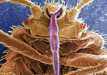 С наступлением холодов многие ищут способы согреться