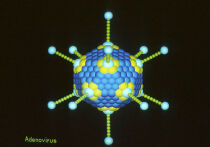 Если вас настигла боль в горле, обилие слизи или просто упадок сил, вы не одиноки