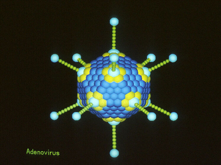 Если вас настигла боль в горле, обилие слизи или просто упадок сил, вы не одиноки