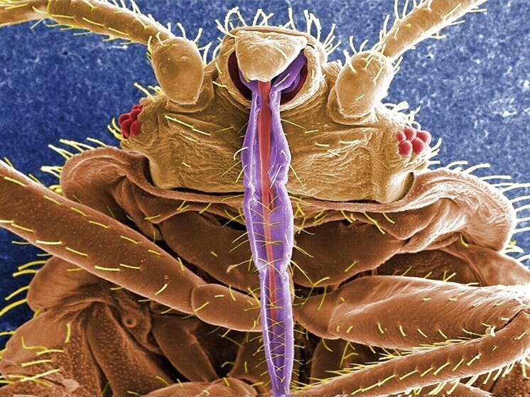 С наступлением холодов многие ищут способы согреться