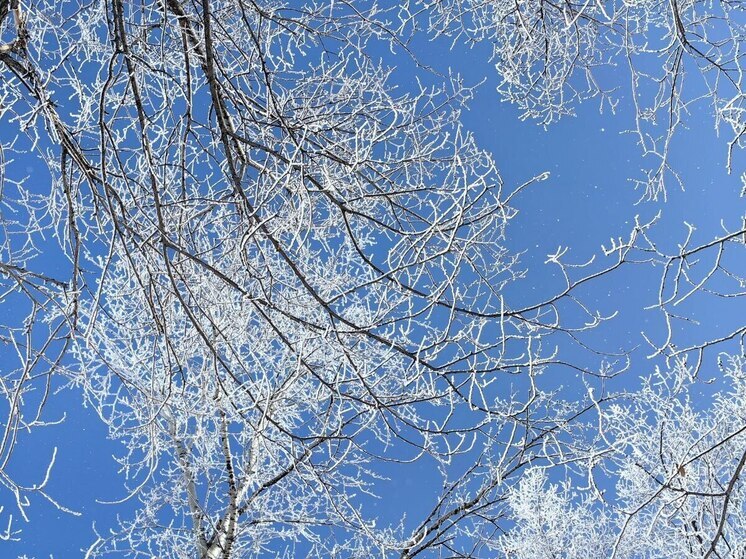 Во Владивостоке 21 декабря без осадков, от -7 до -9 градусов