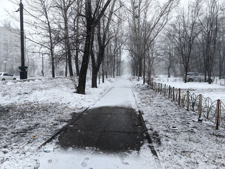В Хабаровске 21 декабря от -13 до -16 градусов, несущественные осадки